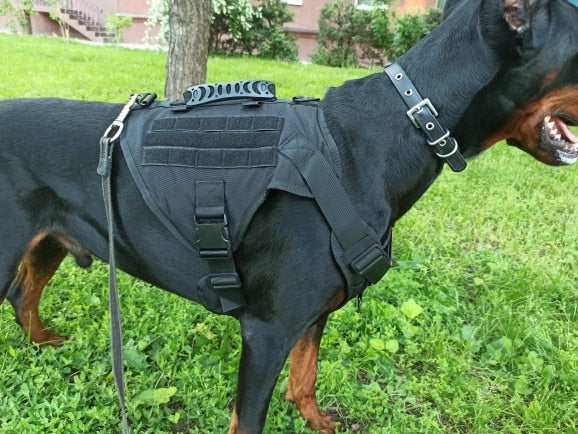 Köpek göğüs tasması tactical 40621272