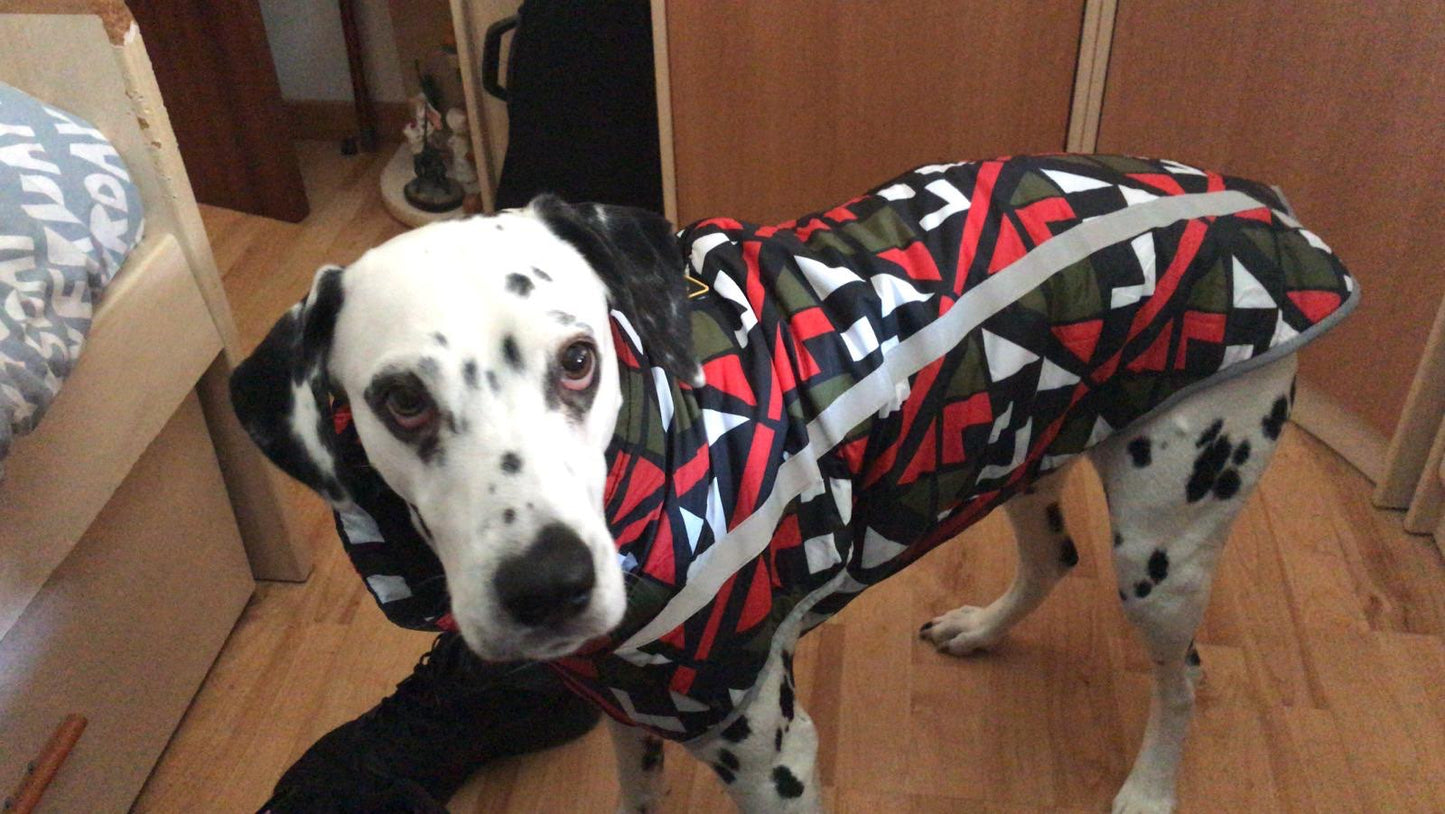 Köpek yağmurluk reflective 31013530