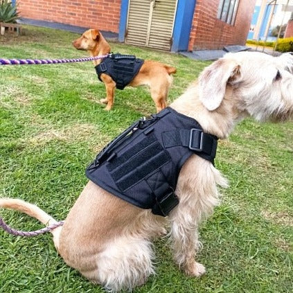 Köpek göğüs tasması tactical 40621272