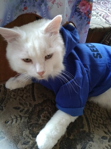 Kedi Sweatshirt 12467385