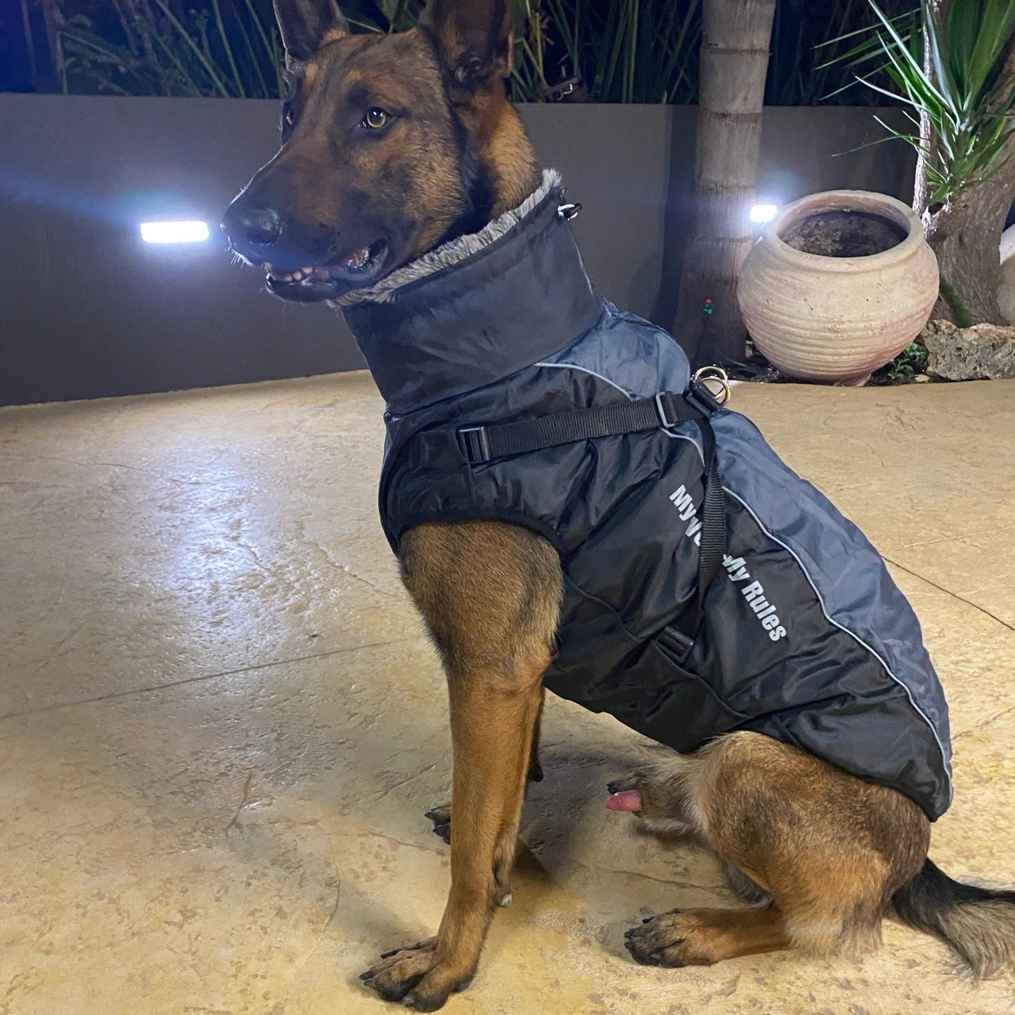 Köpek Yağmurluk 40614543