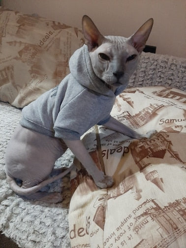 Kedi Sweatshirt 12467385
