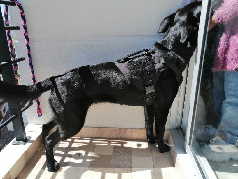 Köpek göğüs tasması tactical 40621272