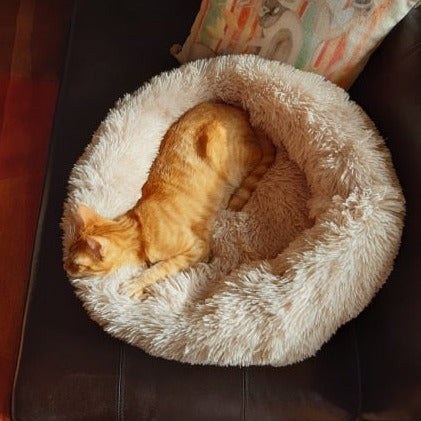 köpek yatağı 28030908