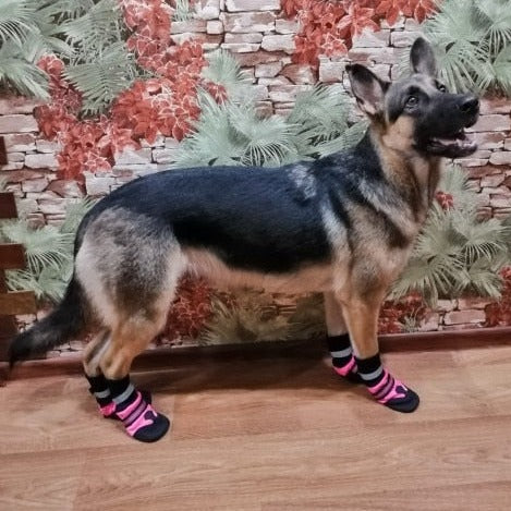 Köpek ayakkabısı Reflective 9886829