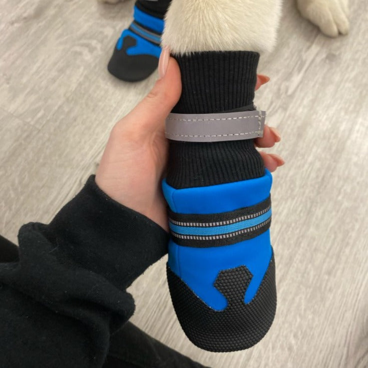 Köpek ayakkabısı Reflective 9886829