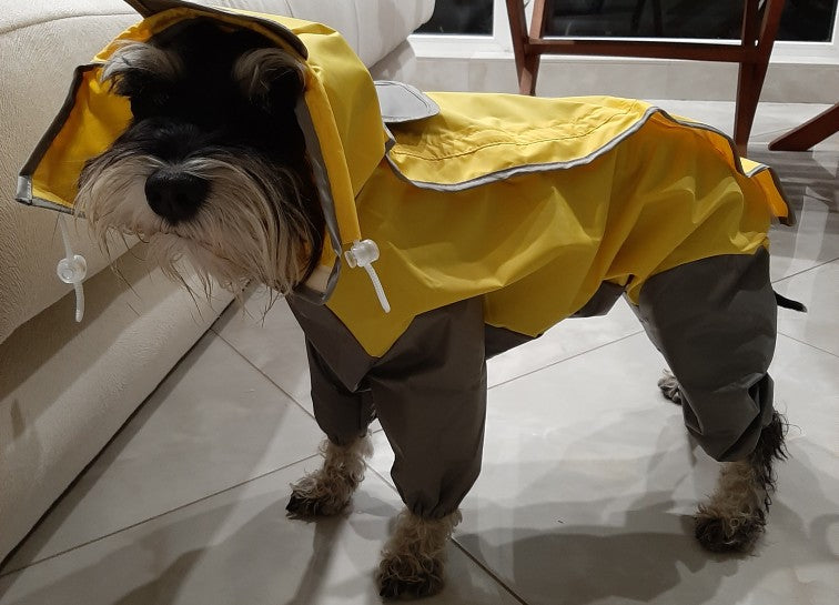 Köpek Mont Yağmurluk Tulum 18803485