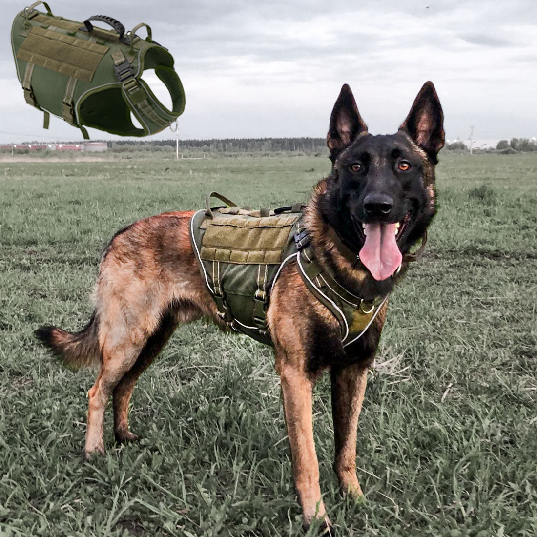 Köpek göğüs tasması tactical Reflective 43733273