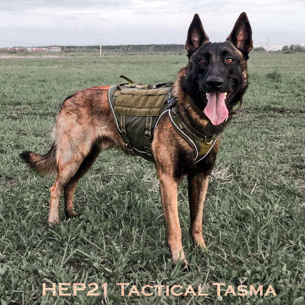 Köpek göğüs tasması tactical Reflective 43733273