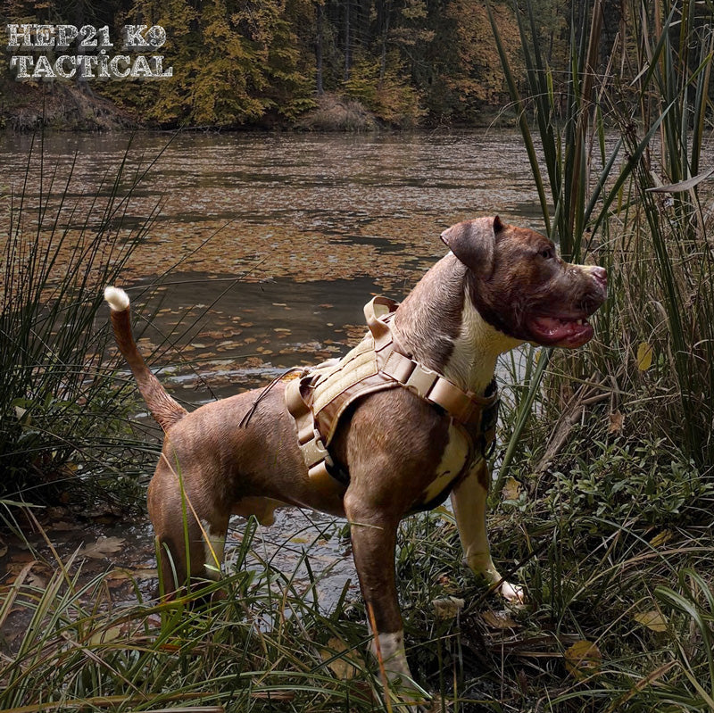 Köpek göğüs tasması Tactical 39810022
