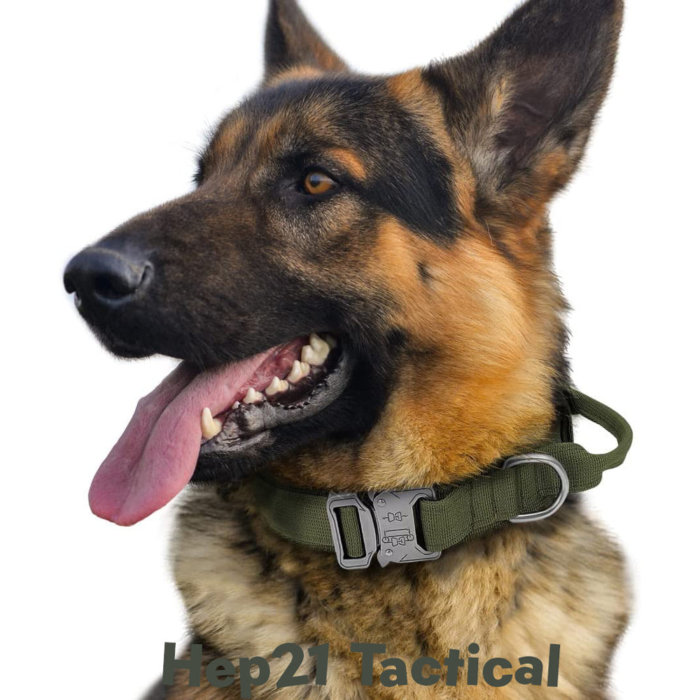 K9 Tasma Tactical 29789052