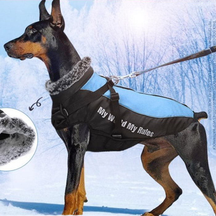Köpek Yağmurluk 40614543