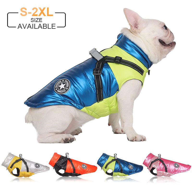 Köpek Yağmurluk 16843546
