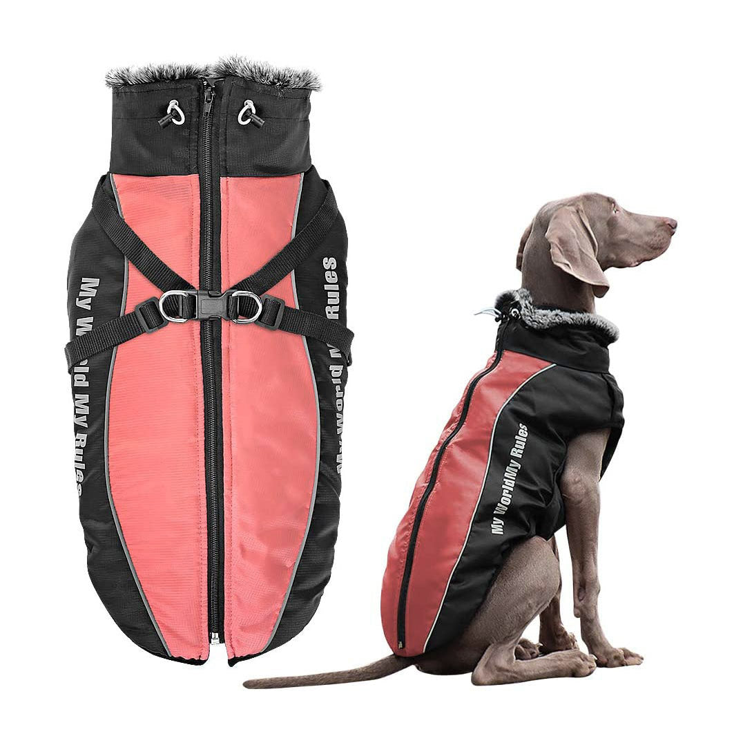 Köpek yağmurluk