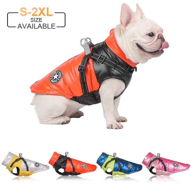 Köpek Yağmurluk