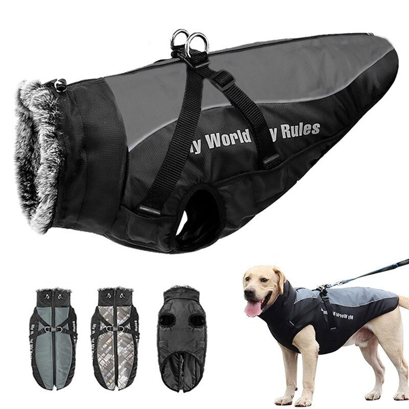 Köpek Yağmurluk