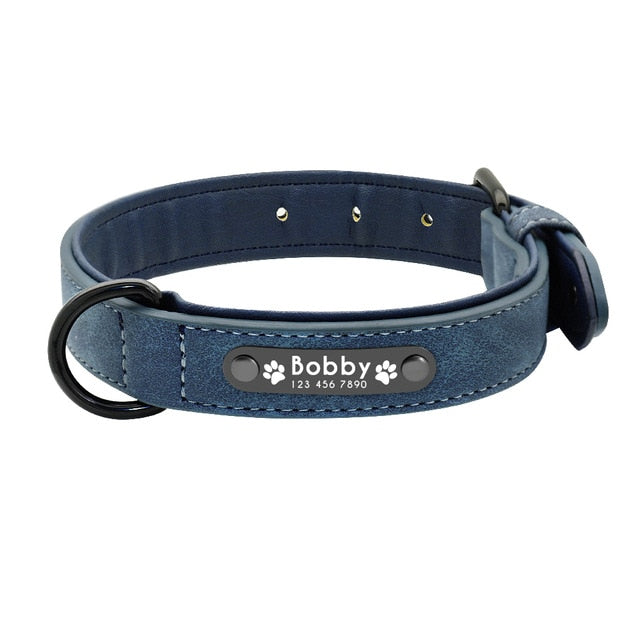 Köpek Deri Tasma Künyeli - hep21 shop