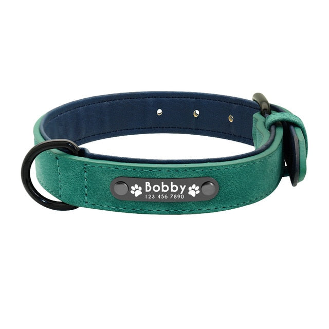 Köpek Deri Tasma Künyeli - hep21 shop
