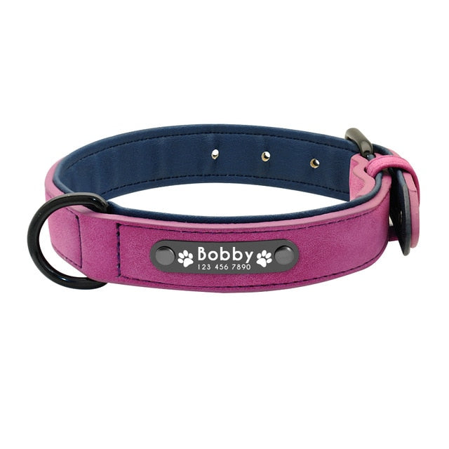 Köpek Deri Tasma Künyeli - hep21 shop