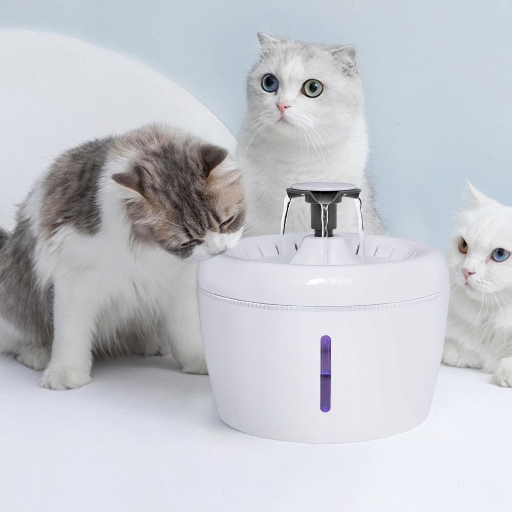 Kedi su kabı 32110034