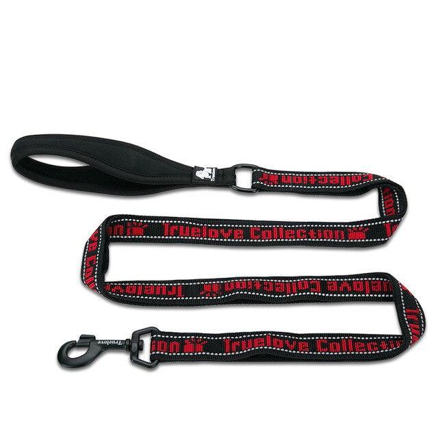 Köpek Gezdirme Kayışı