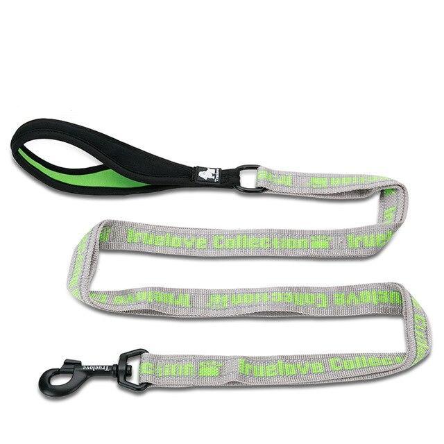 Köpek gezdirme ipi