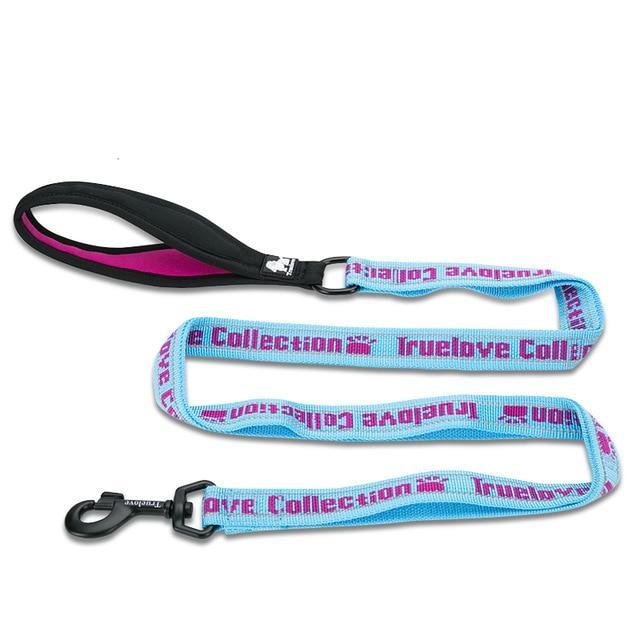 Köpek gezdirme ipi