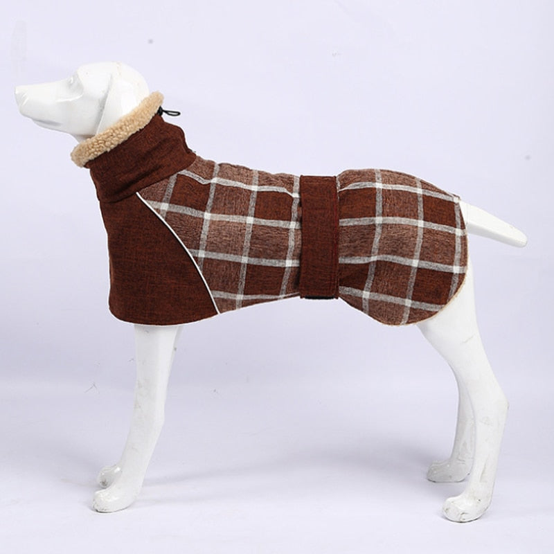 Köpek Montu 39723103