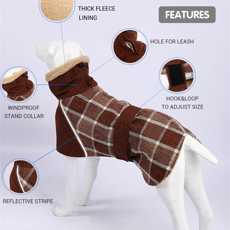 Köpek Montu 39723103
