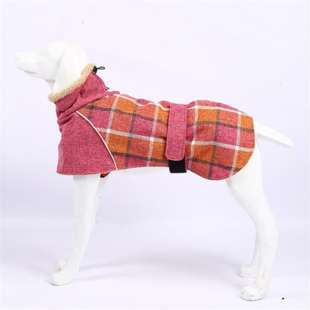 Köpek Montu 39723103