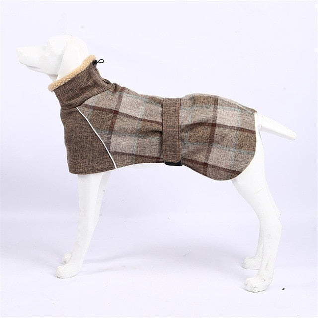 Köpek Montu 39723103