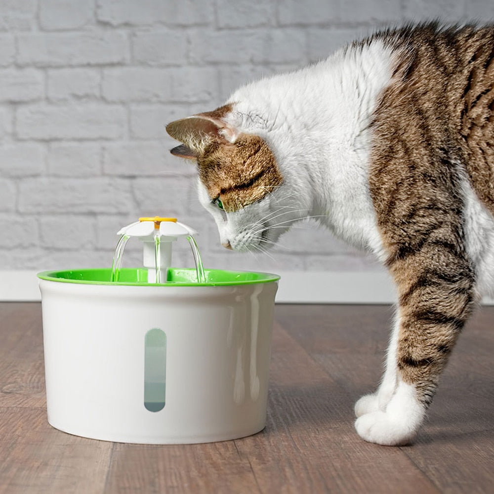 Kedi su kabı 36353728