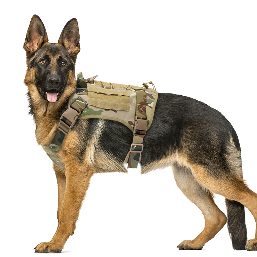 Köpek göğüs tasması Tactical 39810022