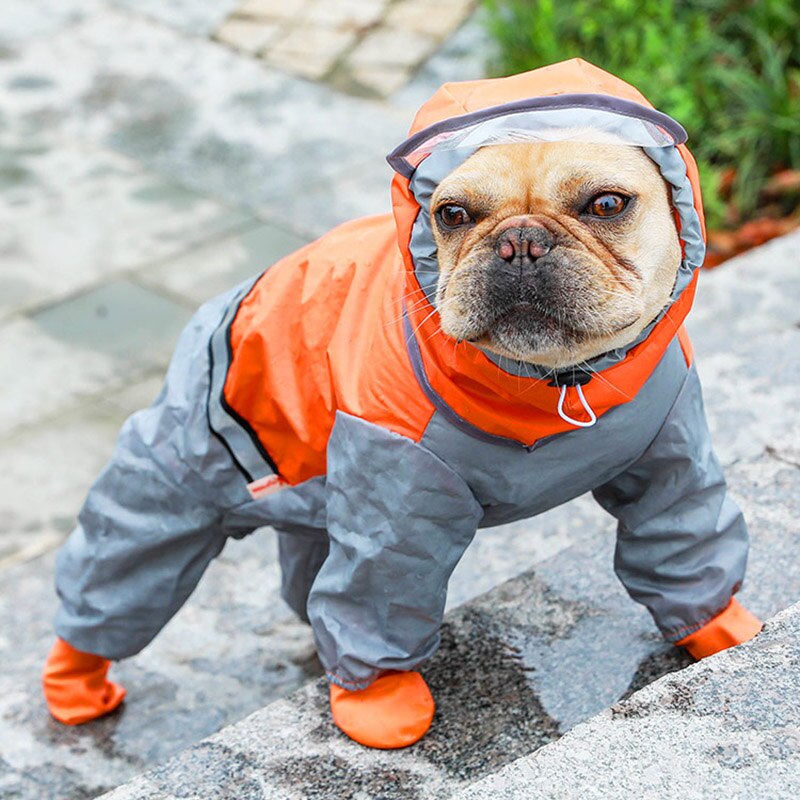 Köpek Yağmurluk
