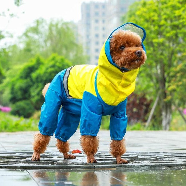 Köpek Yağmurluk