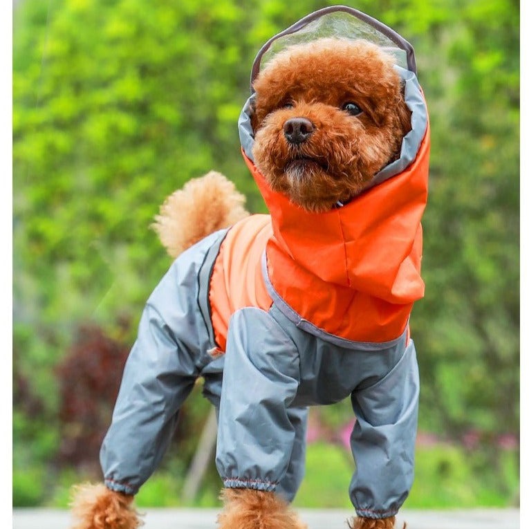 Köpek Yağmurluk