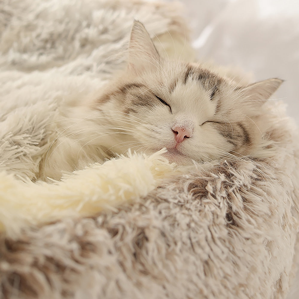 Kedi Yatağı Evi 42244264