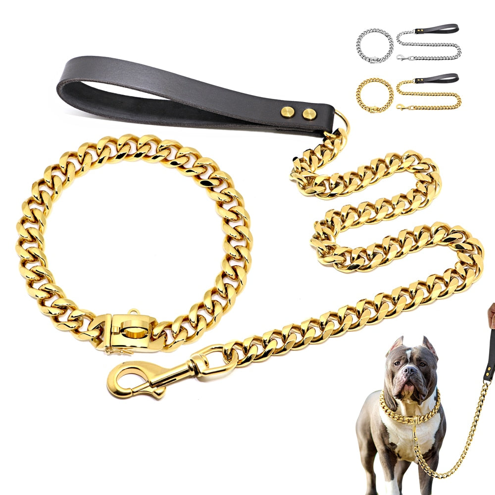 zincir köpek tasması