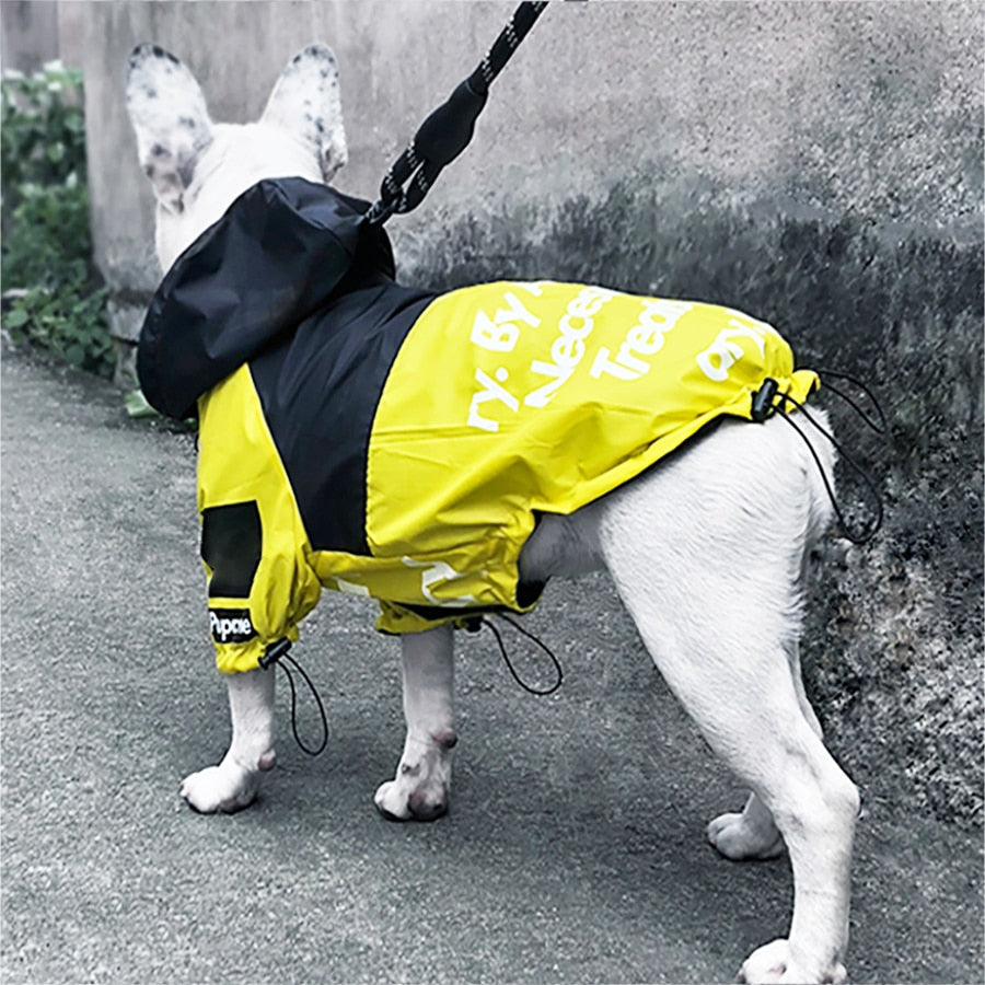 Köpek Yağmurluk