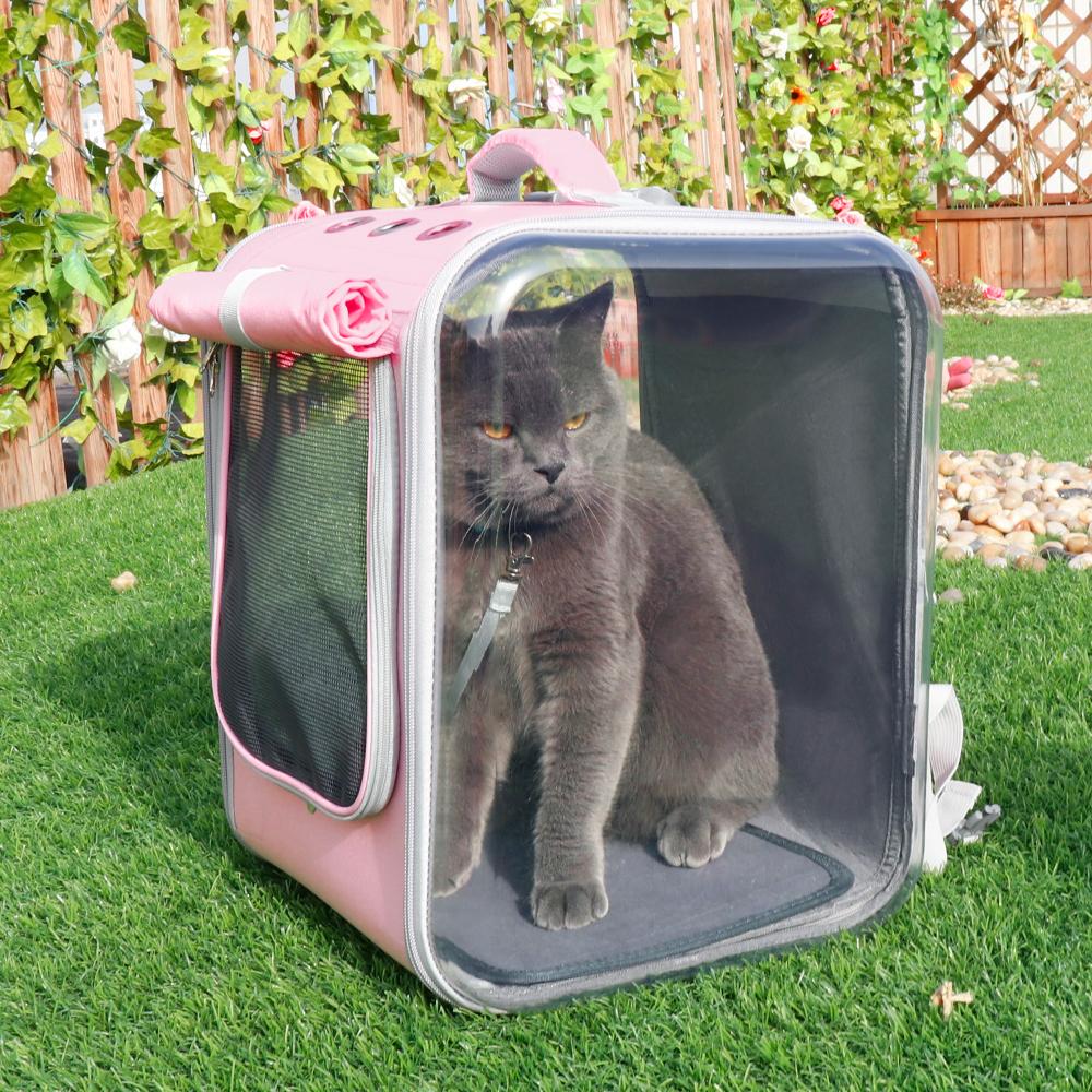 Kedi taşıma çantası