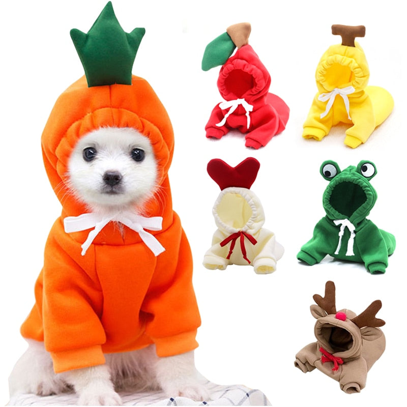 Köpek Sweatshirt