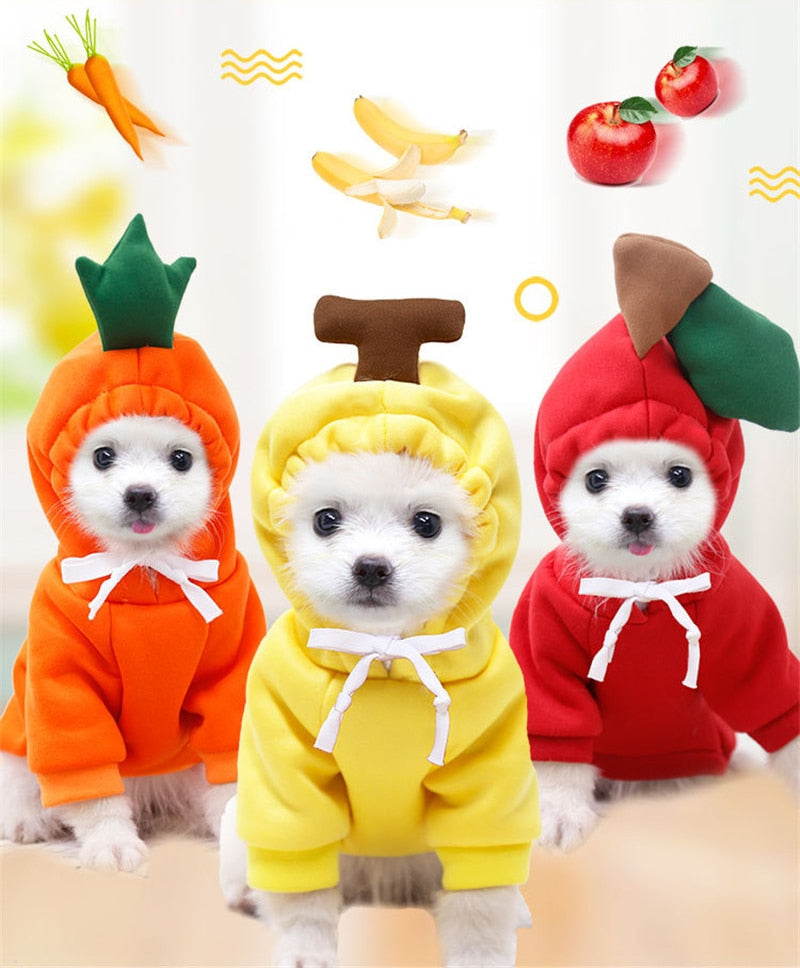 Köpek Sweatshirt