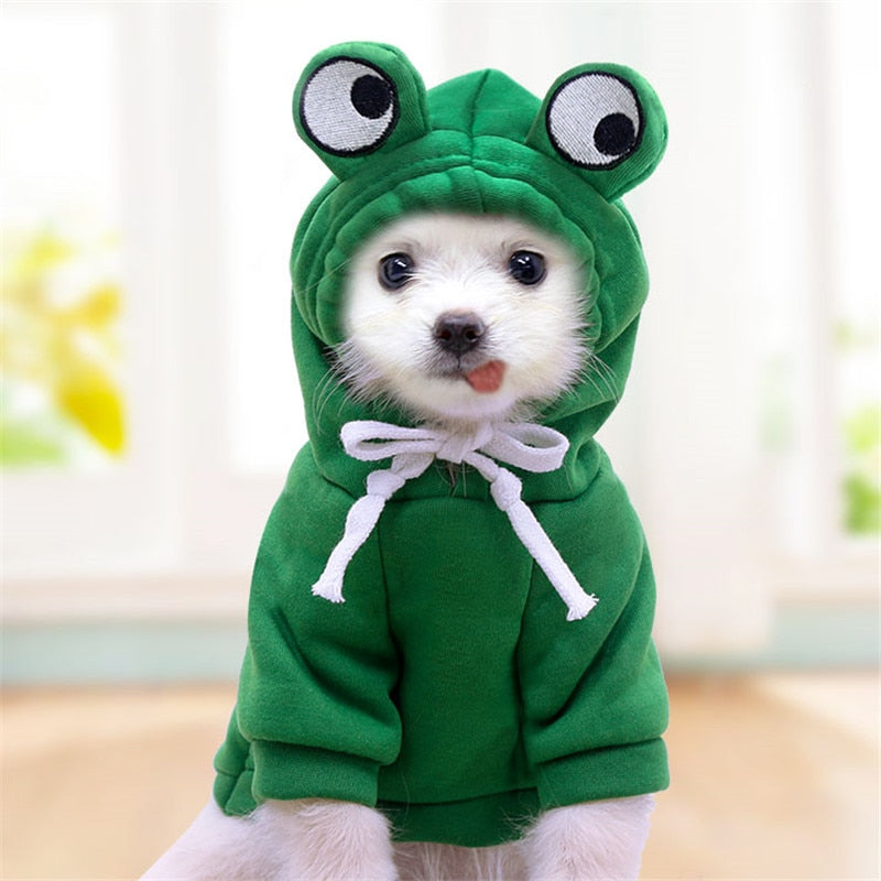 Köpek kazak