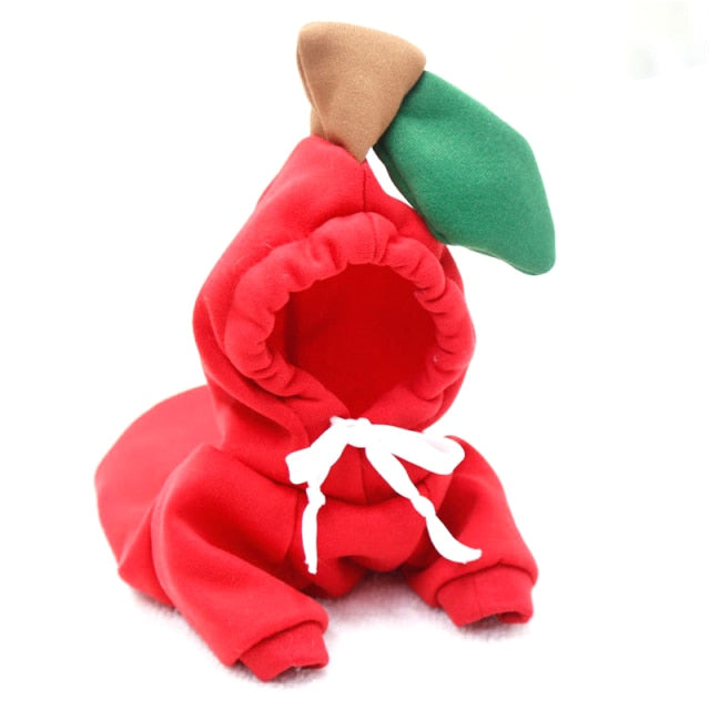 Köpek Sweatshirt