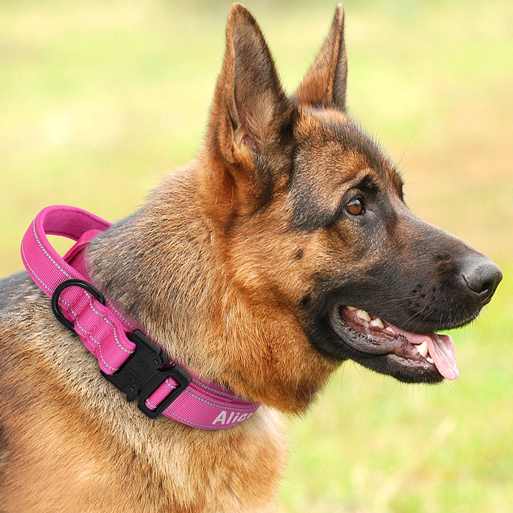 isimli köpek tasması