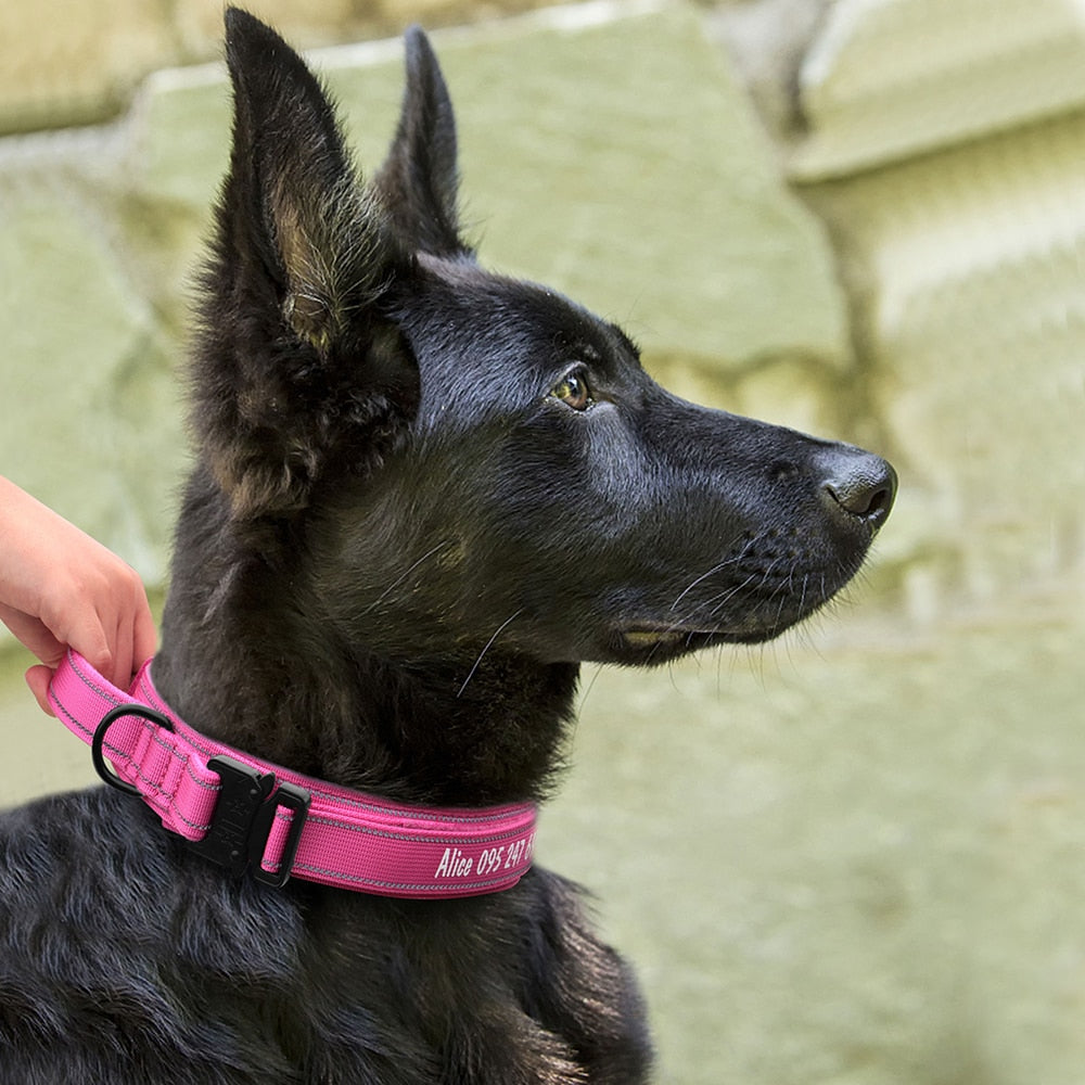 isimli köpek tasması