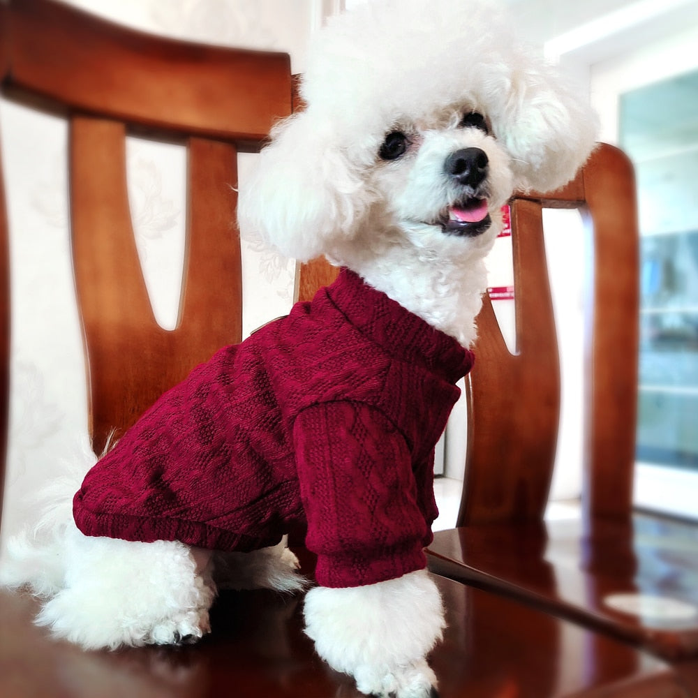 Köpek Kazağı