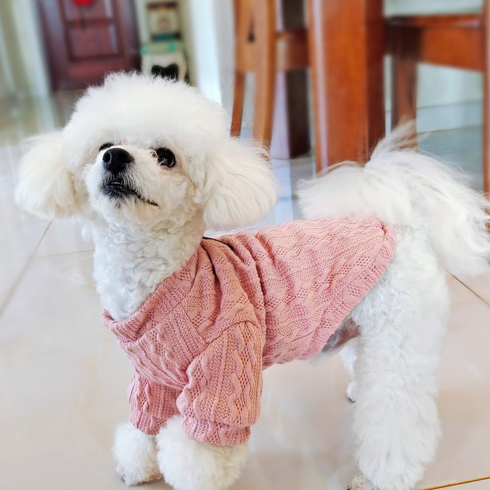 Köpek Kazağı