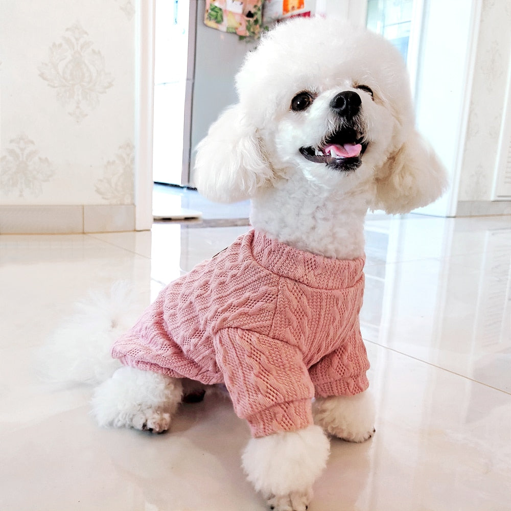 Köpek Kazağı