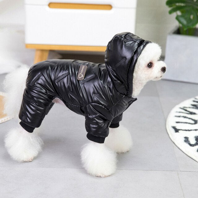 Köpek yağmurluk